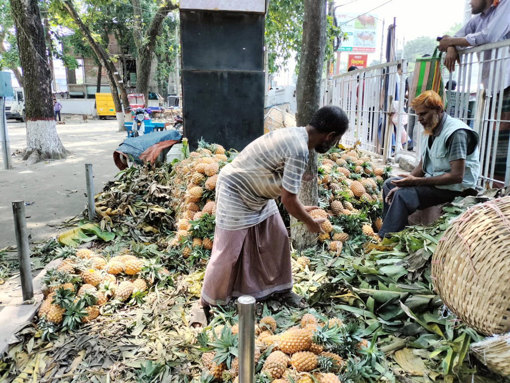 ২০০ গজের ব্যবধানে ৪০ টাকার আনারস ৮০ টাকায় বিক্রি