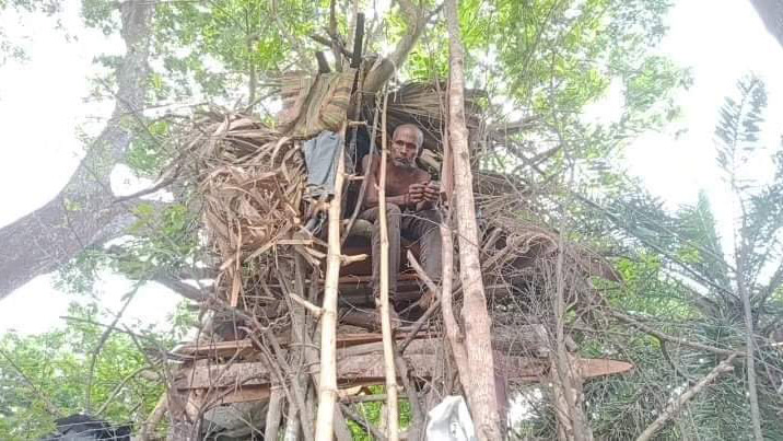 ৫ বছর ধরে গাছে বাস করছেন লিয়াকত আলী