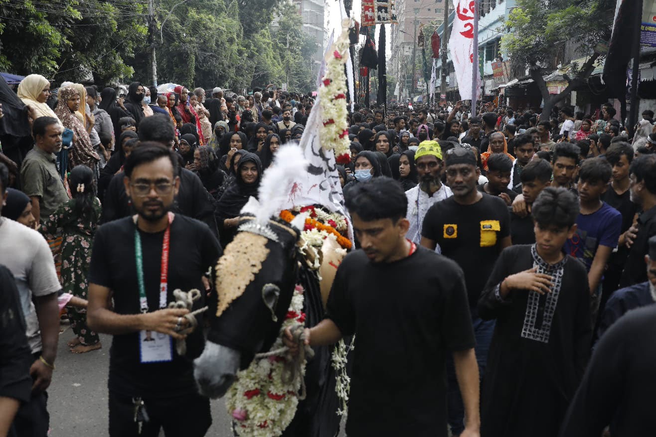 তাজিয়া মিছিলে প্রদর্শন করা হয় প্রতীকী কারবালার দুলদুল ঘোড়া। এই ঘোড়ার পা দুধ দিয়ে ধুয়ে সেগুলো সংগ্রহ করতে দেখা গেছে শিয়া সম্প্রদায়ের অনুসারী ও বিভিন্ন ধর্মবিশ্বাসের মানুষদের।