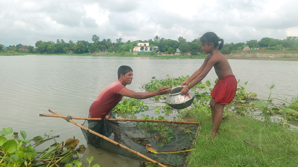 চলছে কার্তিক মাস। হাওরে কমতে শুরু করেছে পানি। সেখানে ঠেলাজাল দিয়ে ছোট মাছ শিকার করছেন মামা, আর পাতিলে সংরক্ষণ করছে ভাগনি। বরইচারা গ্রাম, সরাইল উপজেলা, ব্রাহ্মণবাড়িয়া, ২৫ অক্টোবর। ছবি: এম মনসুর আলী 