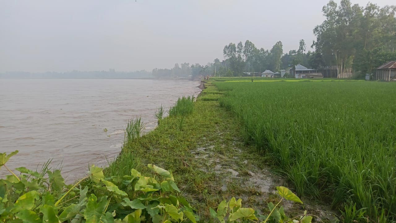 কুড়িগ্রামে নদ-নদীর পানি বাড়লেও বন্যার আশঙ্কা নেই