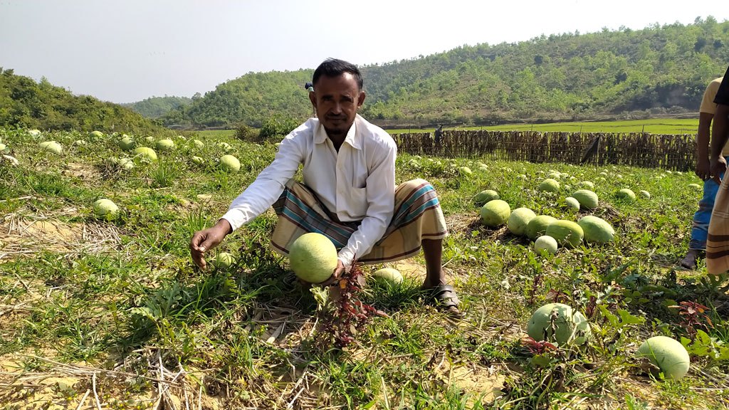 ৪ বছরের চেষ্টায় আগাম তরমুজ চাষে সফল