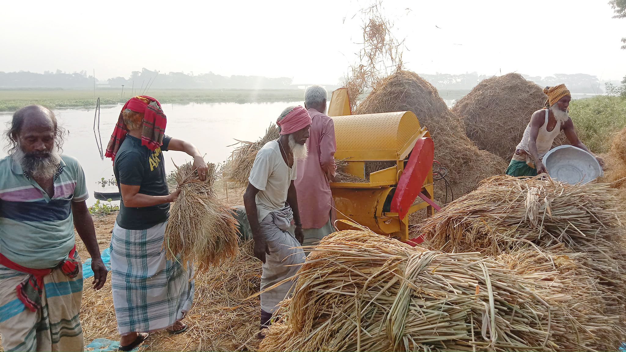 সিরাজদিখানে ধান কাটা ও মাড়াই কাজে ব্যস্ত কৃষকেরা। সিরাজদিখান, মুন্সিগঞ্জ, ১১ মে ২০২৩। ছবি: আব্দুল্লাহ আল-মাসুদ