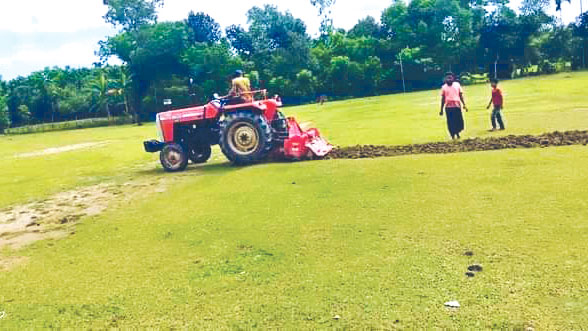 খেলার মাঠে হালচাষ করে কলাইয়ের বীজ বপন
