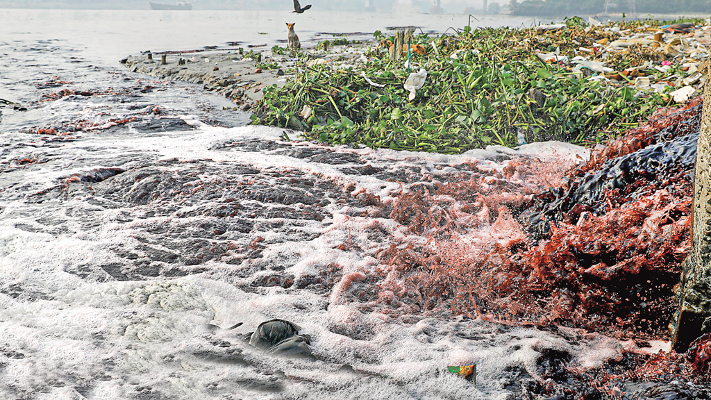 ভয়াবহ বিপর্যয়ের মুখে বুড়িগঙ্গার পরিবেশ