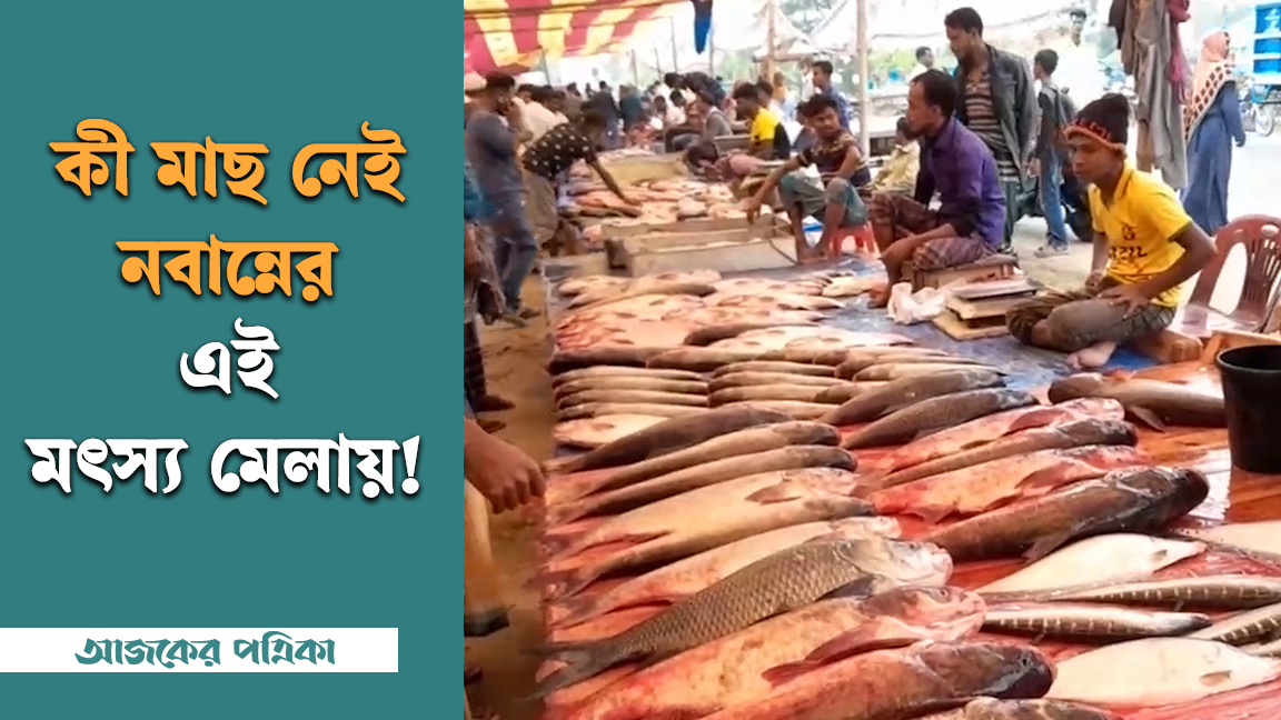 নবান্ন উৎসবের ভিন্নধর্মী আয়োজন মাছের মেলা
