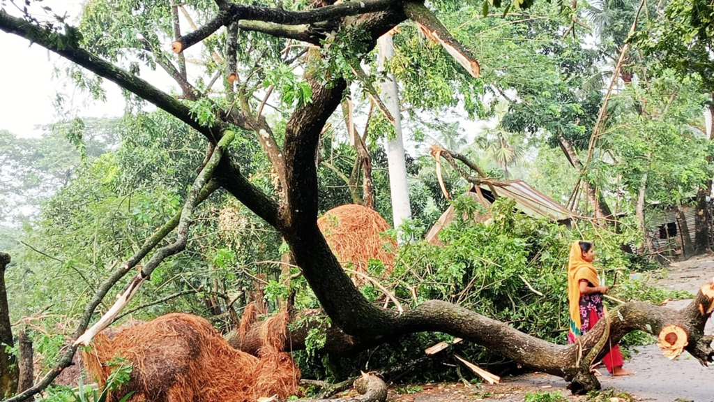 ৫ মিনিটের হঠাৎ ঝড়ে লন্ডভন্ড পুরো এলাকা