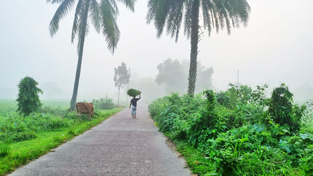 হেমন্ত শুরু হয়েছে কেবল। ঋতুর পালা বদলের খেলায় শীত আসতে এখনো বেশ বাকি। অথচ ঘন কুয়াশায় ঢেকে গেছে চারদিক। বাংলাদেশ কৃষি বিশ্ববিদ্যালয় ক্যাম্পাসে সকালটা এখন কুয়াশার চাদর মুড়ি দিয়ে এভাবেই শুরু হয়। বাংলাদেশ কৃষি বিশ্ববিদ্যালয়, ময়মনসিংহ, ২৪ অক্টোবর ২০২৩। ছবি: হাবিবুর রনি