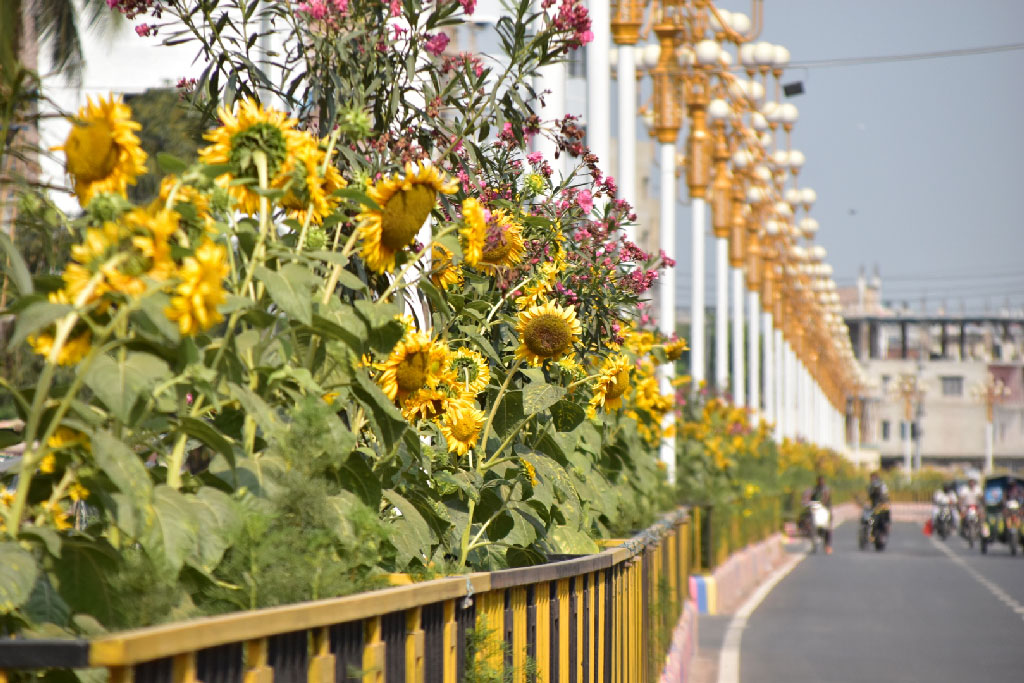 দিনের ছবি (২৫ মার্চ, ২০২৩) 