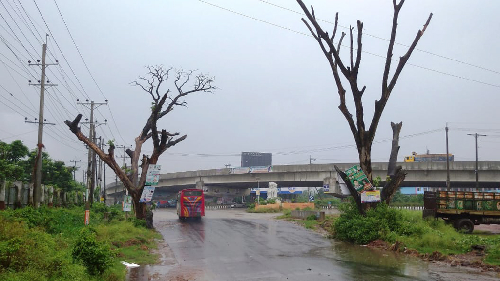 শতাধিক মরা গাছে মরণফাঁদ