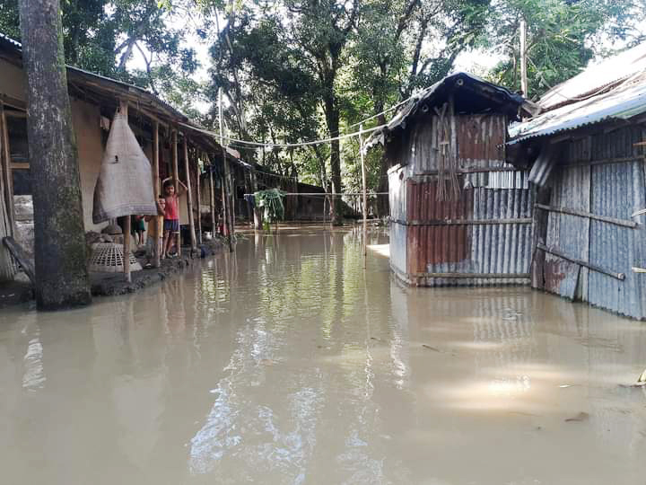 ‘পানি তো গেছেগি, আমরা যাইতাম কোয়াই’