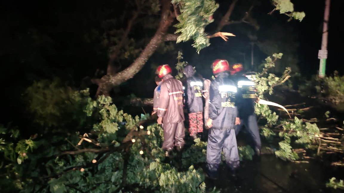 কুমিল্লায় ঘরে গাছ পড়ে একই পরিবারের ৩ জনের মৃত্যু