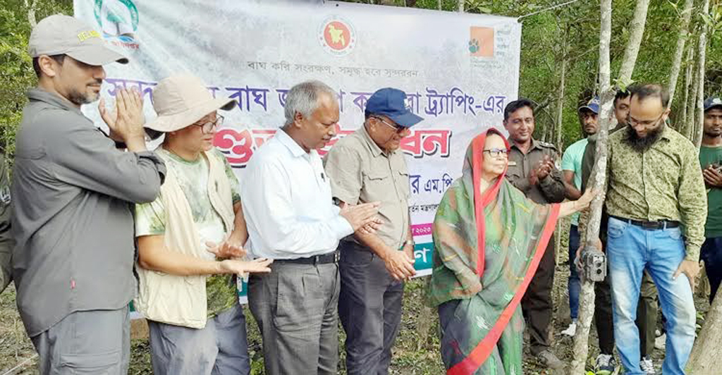 সুন্দরবনে বাঘ গণনা শুরু, বসানো হলো ৬০০ ক্যামেরা