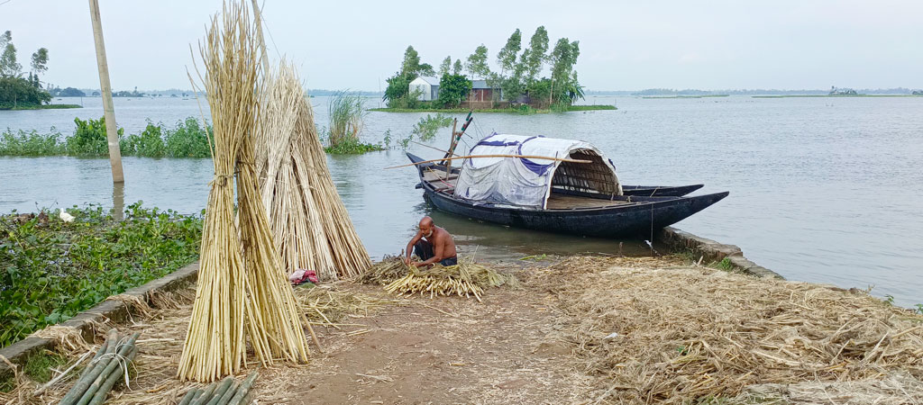 বর্ষায় অনেক এলাকাই পানিতে টইটুম্বুর। পানিতে জাক দেওয়া পাট থেকে পাটখড়ি ছাড়িয়ে নিচ্ছেন এক ব্যক্তি। রায়পুরার বাঁশগাড়ি পল্লী বিদ্যুৎ উপকেন্দ্রর সামনে থেকে, নরসিংদী, ৬ জুলাই ২০২৪। ছবি: হারুনূর রশিদ