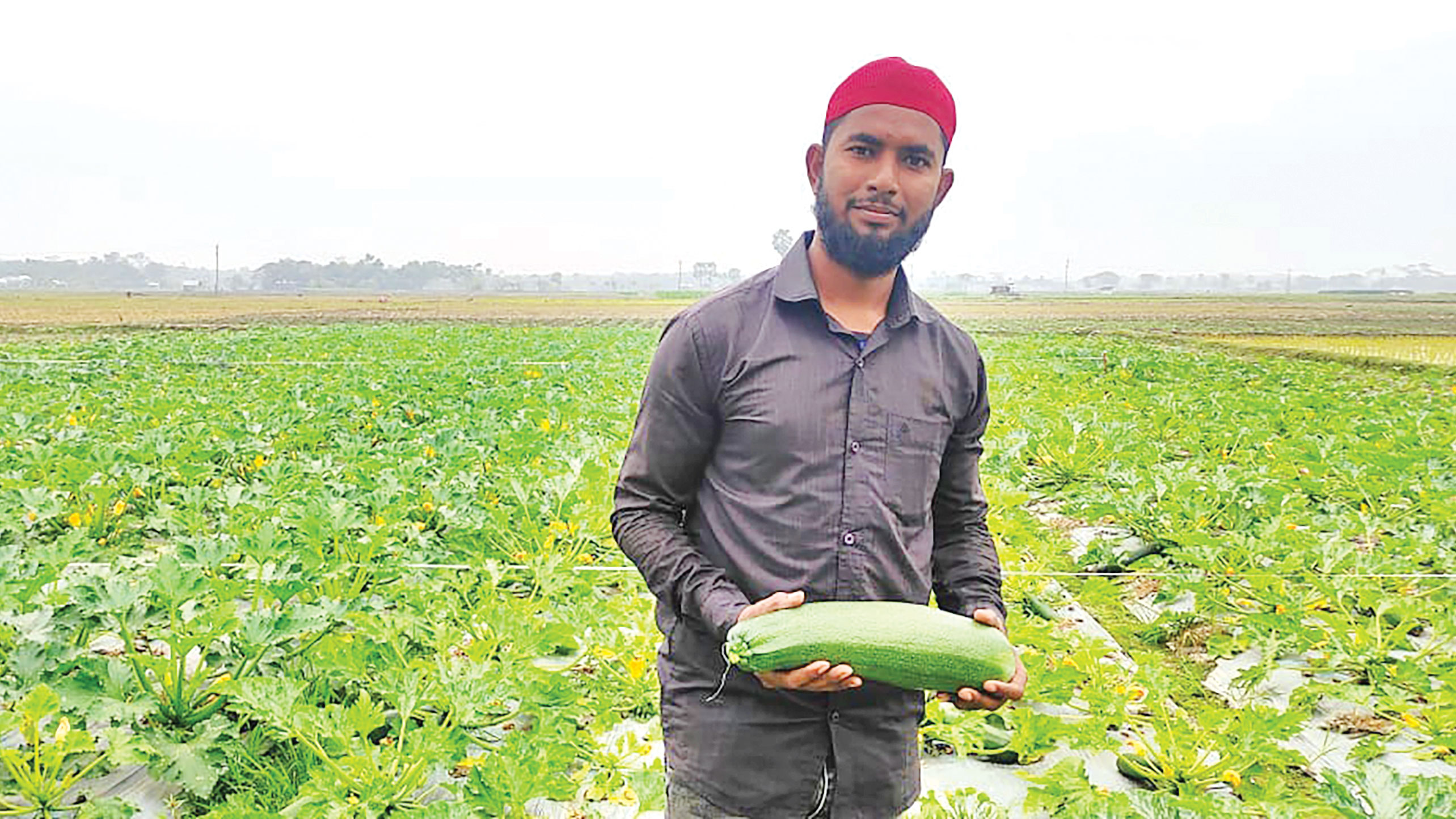 স্কোয়াশ চাষে সফল তরুণ