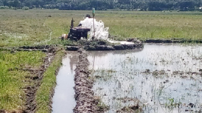 ভরা বর্ষায়ও সেচ দিয়ে আমন চাষ