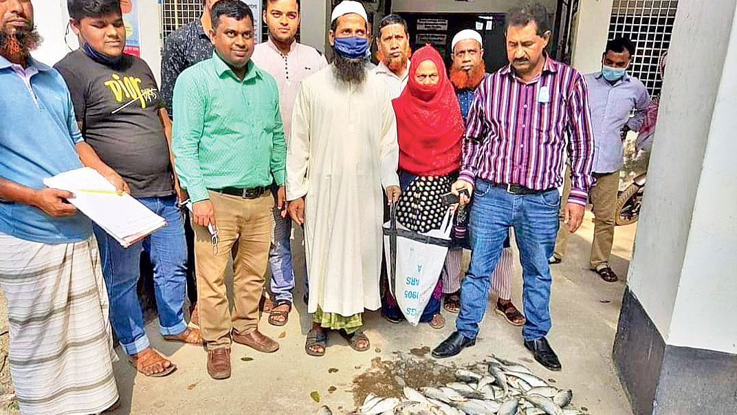 জাটকা জব্দ, এতিমখানায় বিতরণ