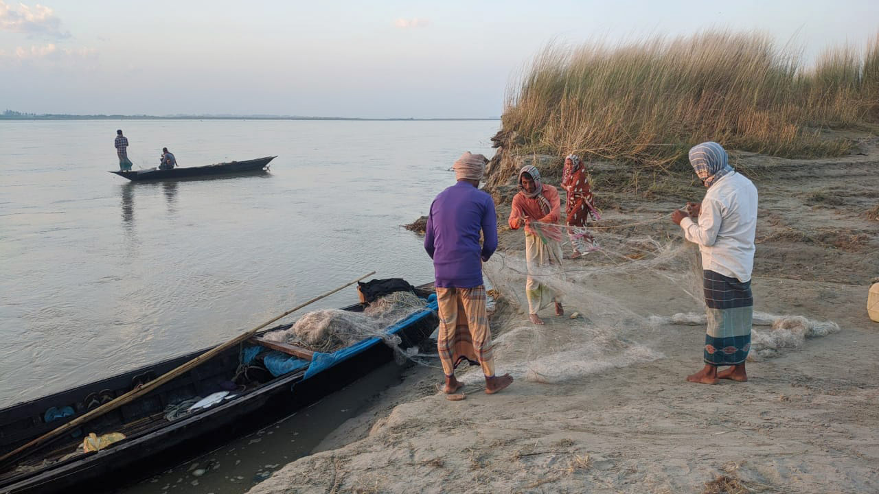 ব্রহ্মপুত্র নদেও ইলিশ বেড়েছে আকারও