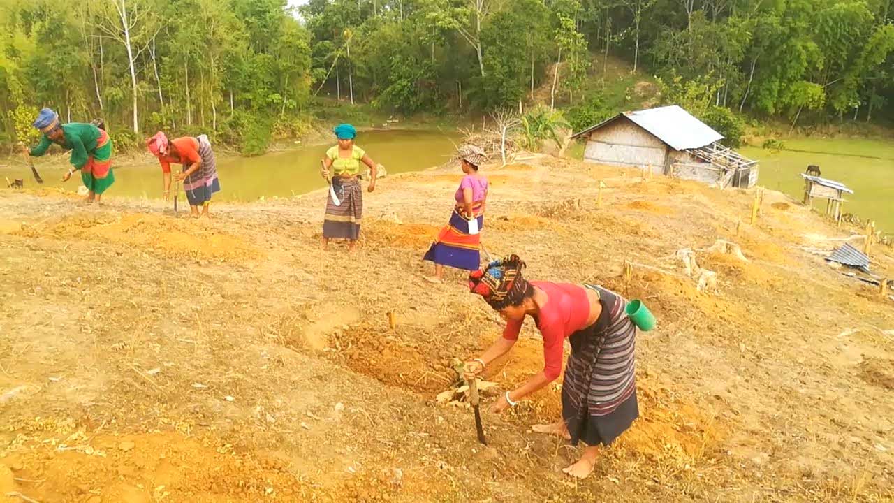 উন্নত চাষ পদ্ধতির তাগিদ