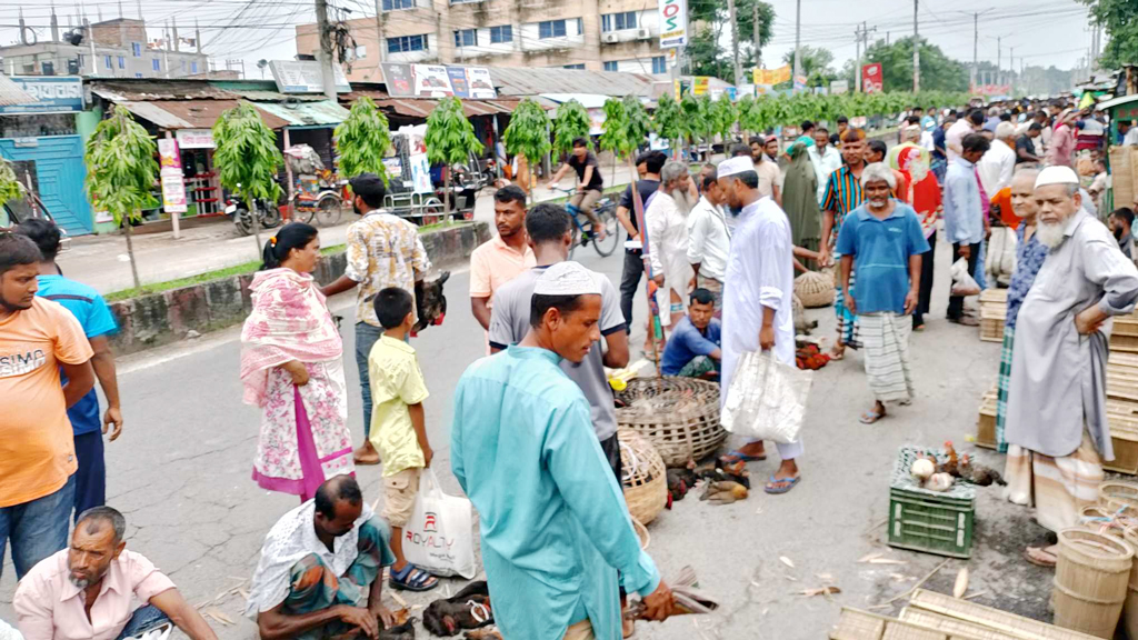 সড়কজুড়ে পশুপাখির হাট, ভোগান্তিতে জনসাধারণ