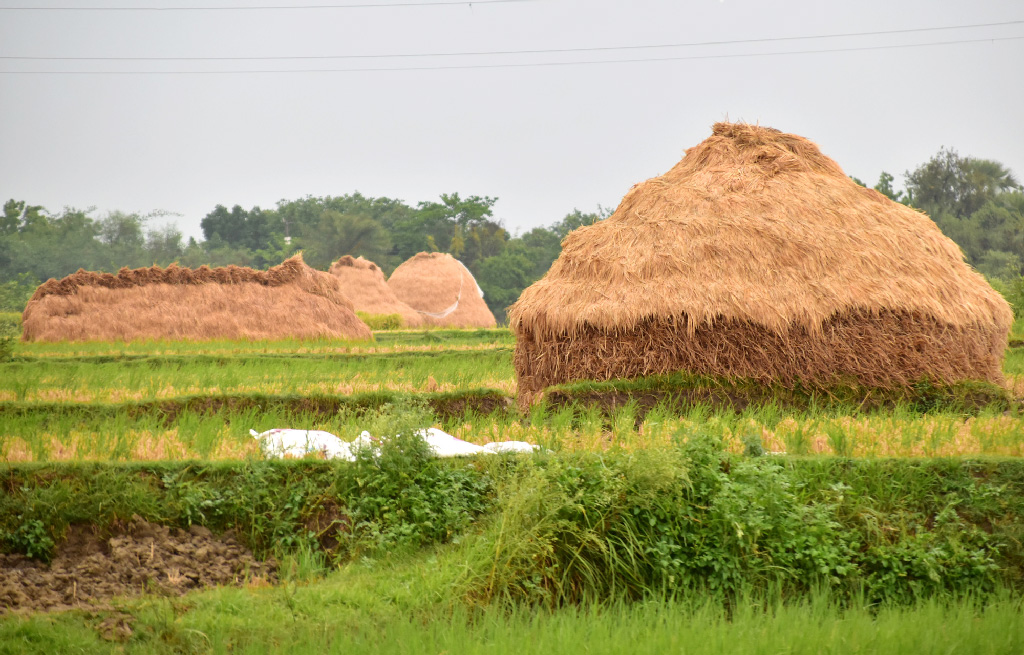 দিনের ছবি (২৪ মে, ২০২৩)