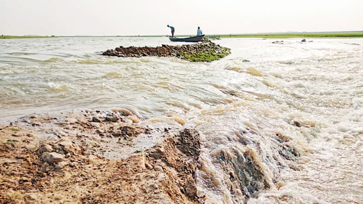 ‘হাওরে পাঁচ হাজার হেক্টর জমির ফসল তলিয়ে গেছে’