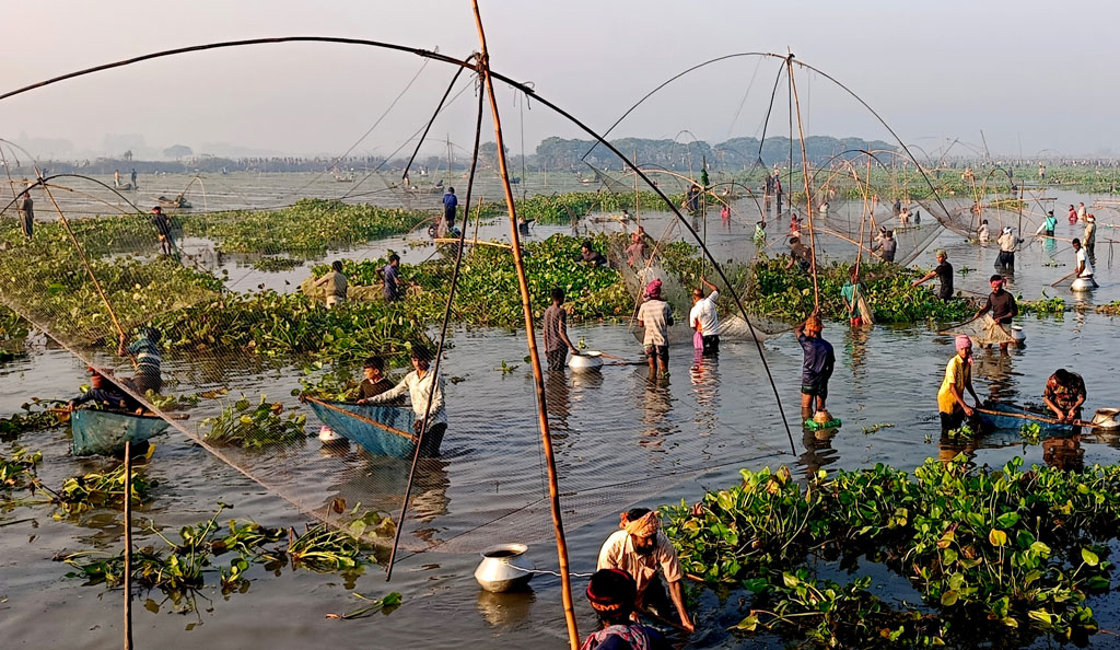 নভেম্বরের শেষ সপ্তাহ থেকে শুরু হয় মাছ শিকারের এই উৎসব