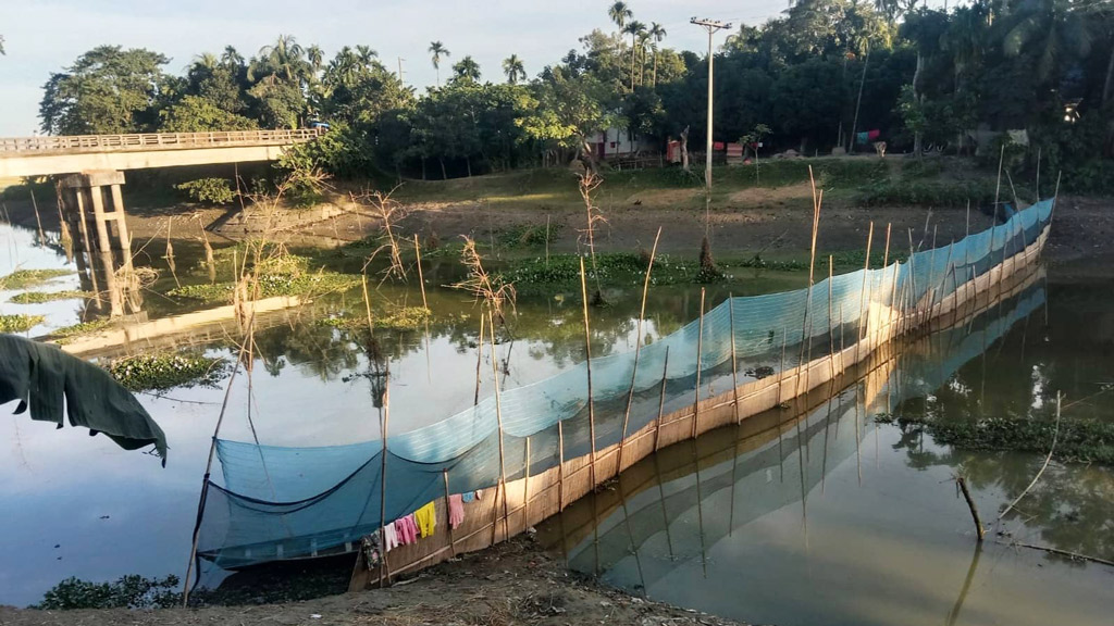 মদনে ডালি নদীতে বাঁধ দিয়ে চলছে মাছ শিকার