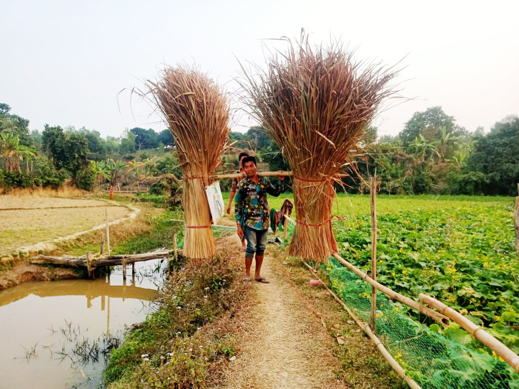 দিনের ছবি (১৭ জানুয়ারি, ২০২৩)
