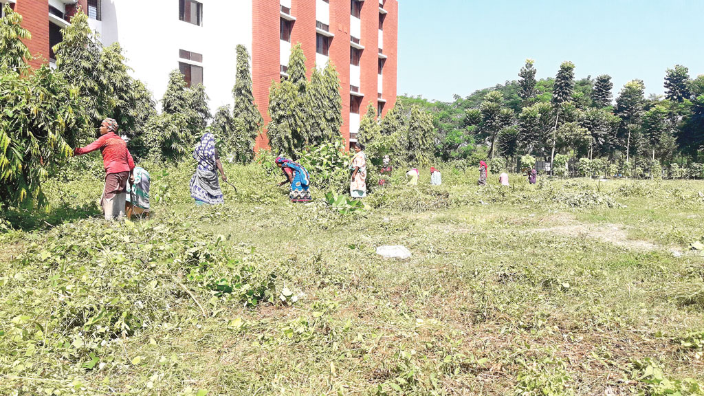 শিক্ষার্থীদের বরণে প্রস্তুত বেরোবি