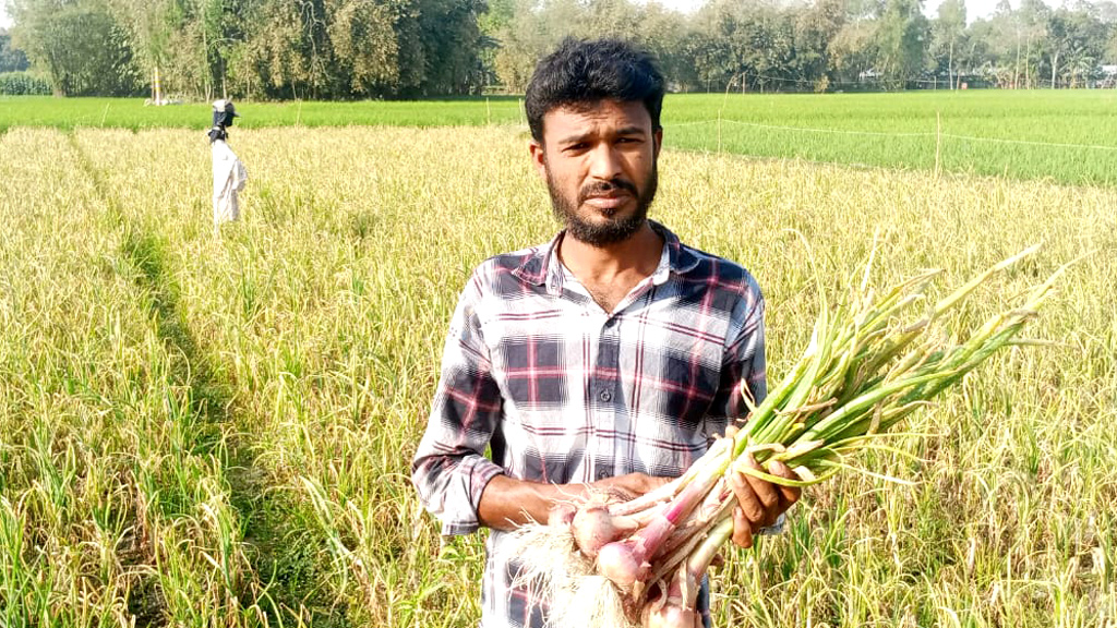 ফুলবাড়ীতে গ্রীষ্মকালীন পেঁয়াজ চাষে লাভবান হচ্ছেন চাষিরা