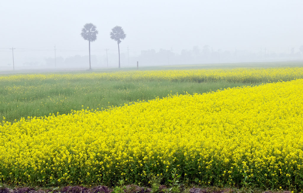 দিনের ছবি (২৮ ডিসেম্বর, ২০২২)