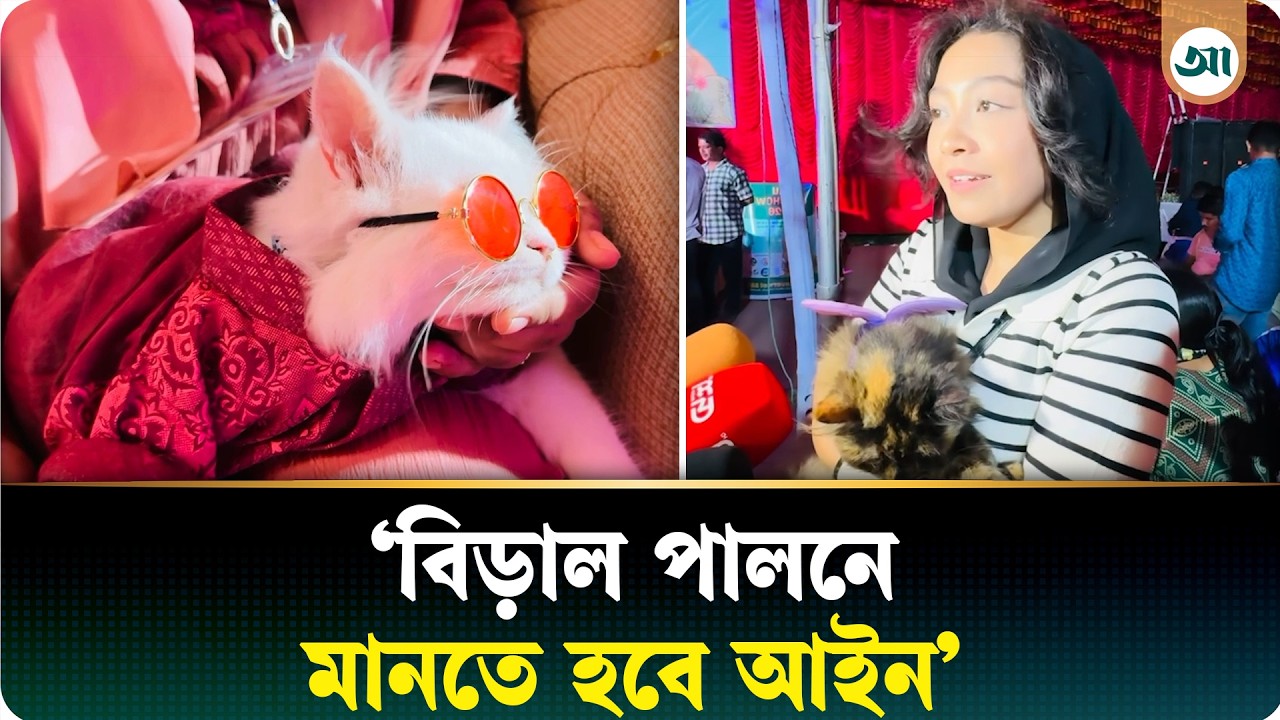 বাকৃবিতে জমকালো বিড়ালের র্যাম্প শো অনুষ্ঠিত