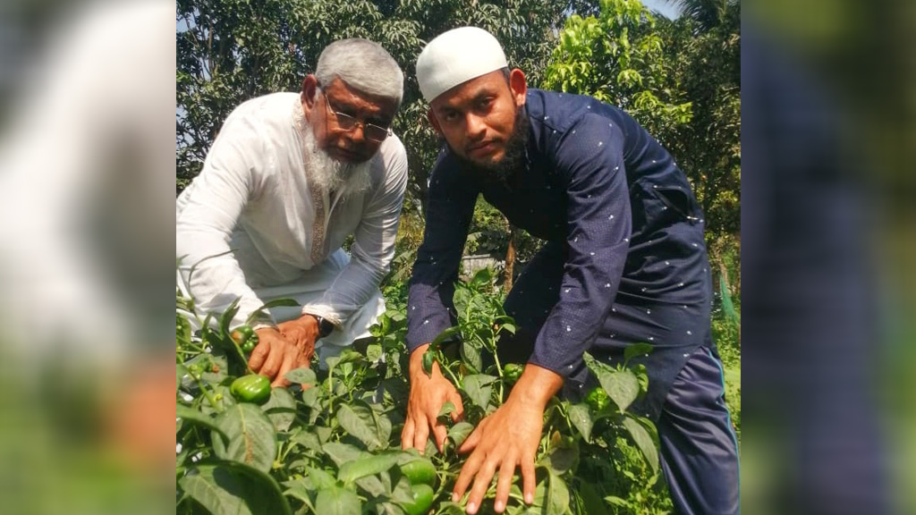 ‘ক্যাপসিকাম চাষে দক্ষিণাঞ্চলের কৃষিতে বিপ্লব ঘটবে’