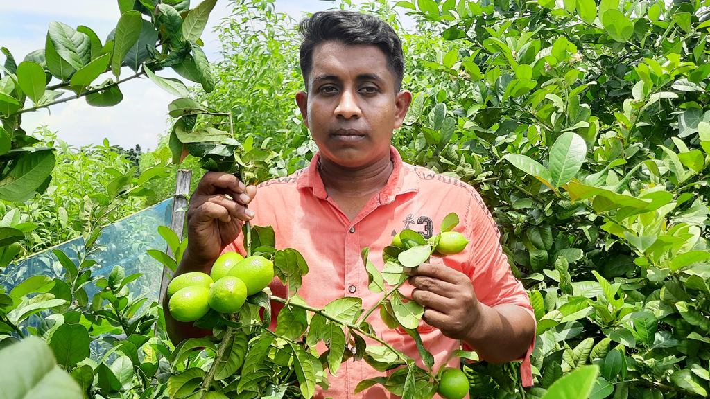 যবিপ্রবি ছাত্রের কৃষিতে সাফল্য