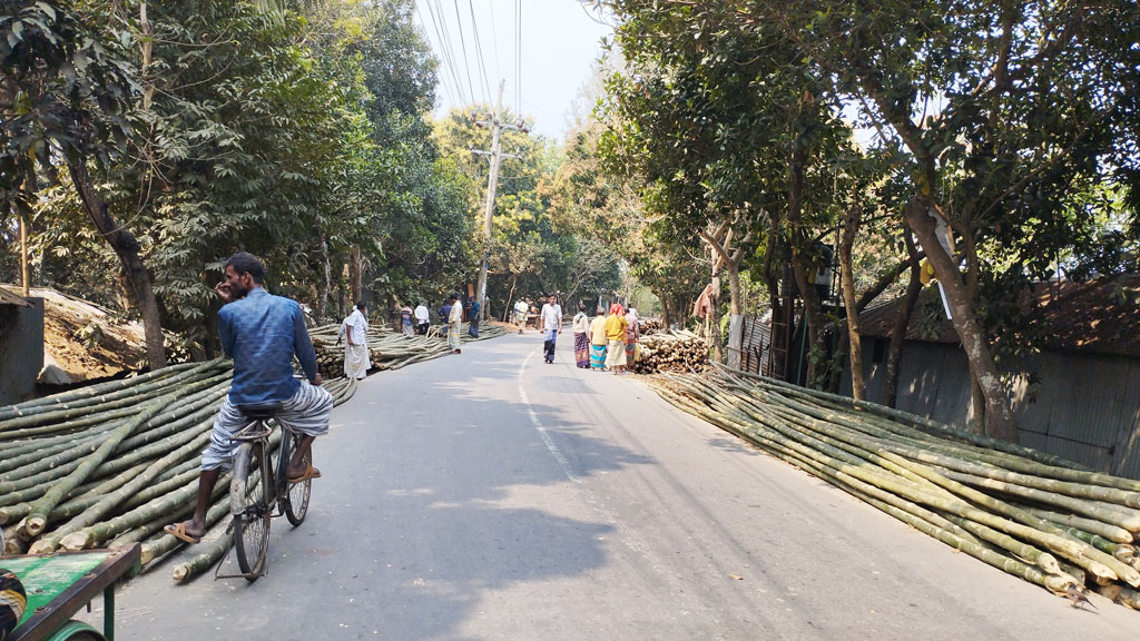 সপ্তাহের সাত দিনই রাস্তার ওপর বিভিন্ন প্রজাতির বাঁশ কেনাবেচা হয়। তবে এভাবে বাঁশ ফেলে রাখায় যানবাহন চলাচলে বিঘ্ন সৃষ্টি হয়। পাবনা-বাড়াবাড়ি সড়কের ফরিদপুর এলাকা, পাবনা, ১২ মার্চ ২০২৪। ছবি: শুভাশীষ ভট্টাচার্য্য তুষার