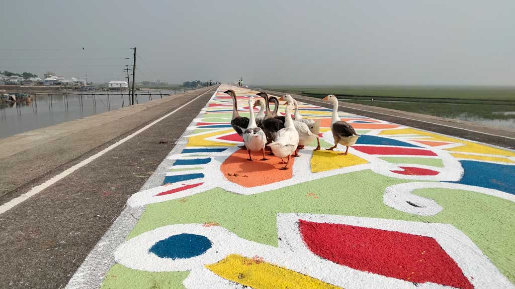 হাওরের বুকে ১৪ কিলোমিটার সড়কজুড়ে আলপনা