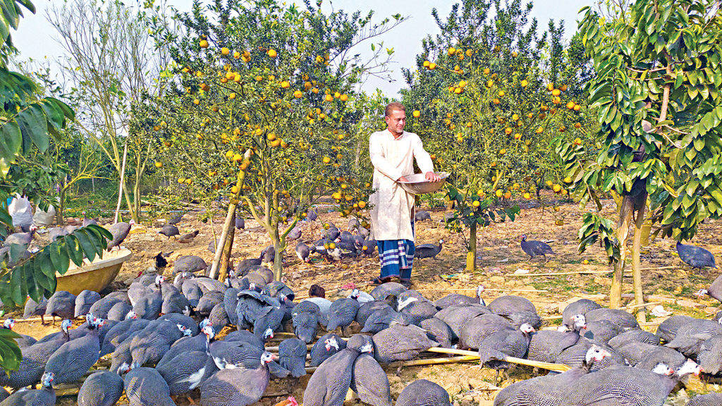 মাল্টাবনে তিতিরের কলরব