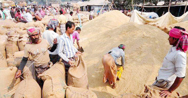 ১০৮০ টাকা দরে ৩ লাখ টন ধান কিনবে সরকার