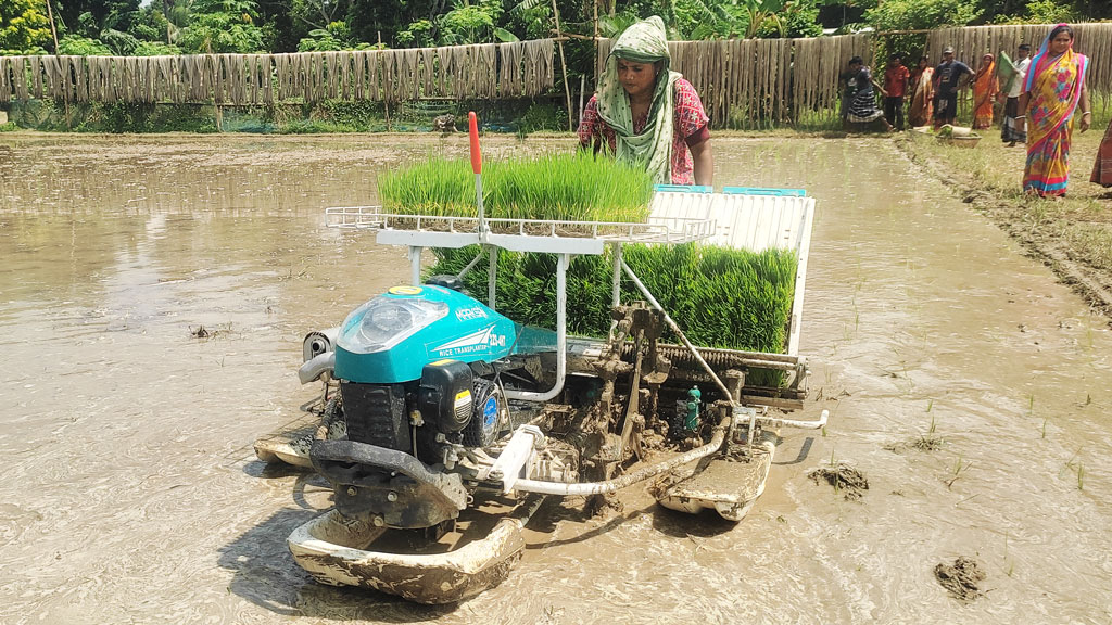 বালিয়াকান্দিতে কৃষিকাজে বাড়ছে নারীর সংখ্যা, ব্যবহার করছেন আধুনিক যন্ত্র