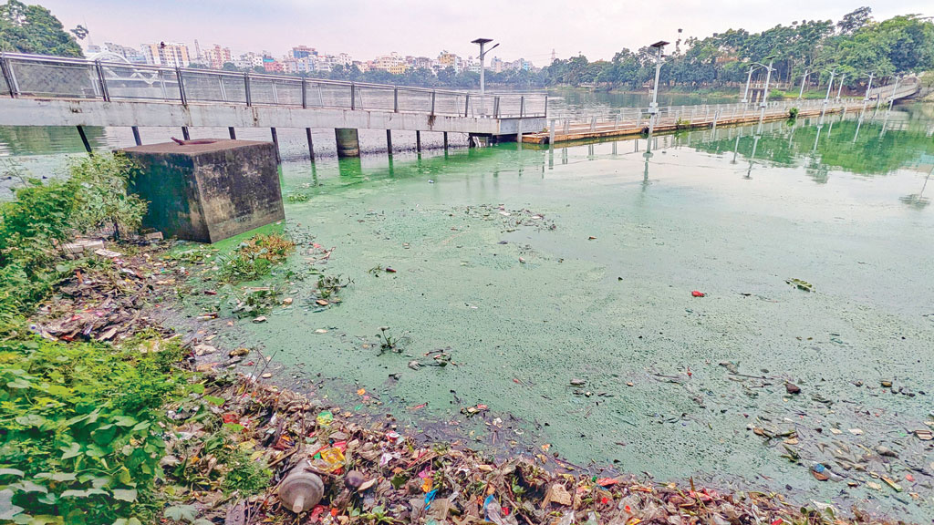 ঝলমলে হাতিরঝিল এখন বিবর্ণ