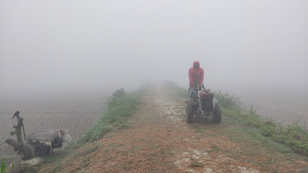 দিনের ছবি (২৯ ডিসেম্বর, ২০২২)