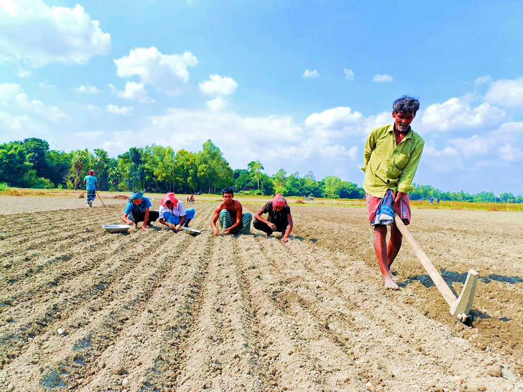 আলু চাষে ব্যস্ত সময় কাটাচ্ছেন কৃষকেরা। উন্নত ও আগাম জাতের আলু চাষ করে লাভবান হওয়ায় বরাবরের মতো এবারও আলু চাষ করছেন মানিকগঞ্জের অনেক কৃষক। ঘিওর উপজেলার বালিয়াখোড়া এলাকা, মানিকগঞ্জ, ২ নভেম্বর ২০২৩। ছবি: আব্দুর রাজ্জাক