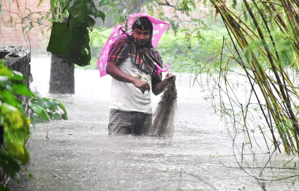 বৃষ্টির পানিতে থই থই করছে আম বাগান। ছাতা মাথায় বাগানে জাল পেতে ছোট ছোট মাছ ধরছেন এক যুবক। নগরীর মেহেরচন্ডি করইতলা পশ্চিম পাড়া, রাজশাহী, ৬ অক্টোবর। ছবি: মিলন শেখ