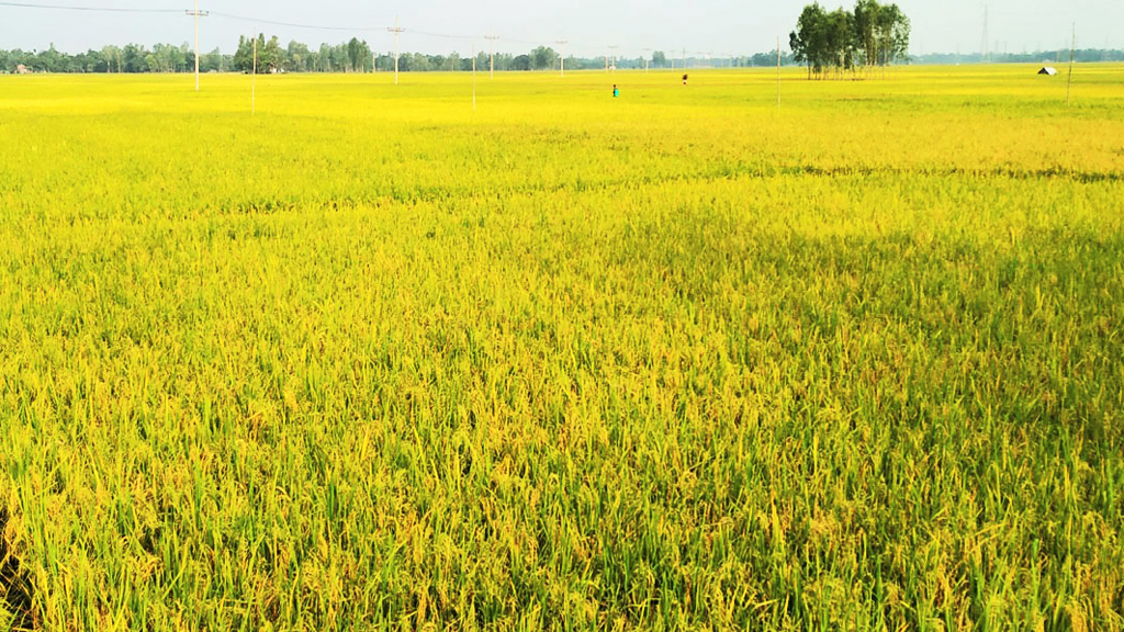 দিনের ছবি (২৫ এপ্রিল, ২০২৩)