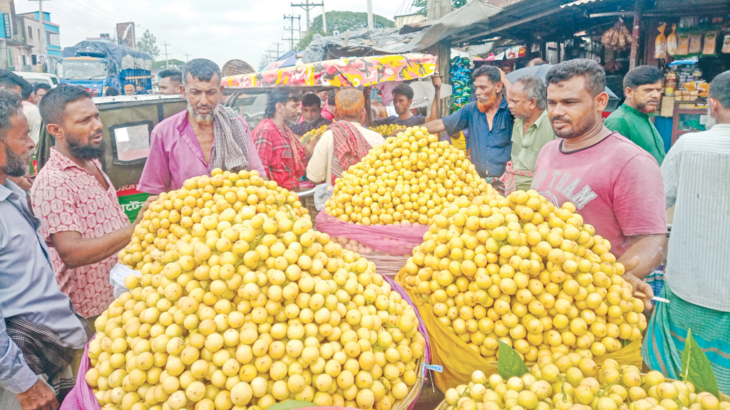 নরসিংদীর মরজালে জমজমাট লটকনের বাজার