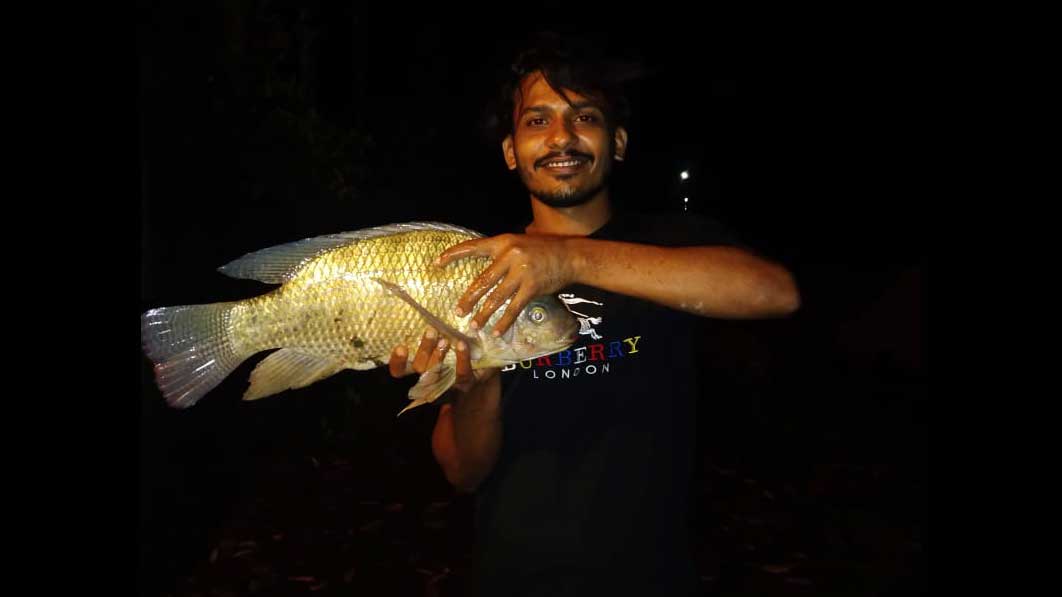 সোয়া তিন কেজির নাইলোটিকা