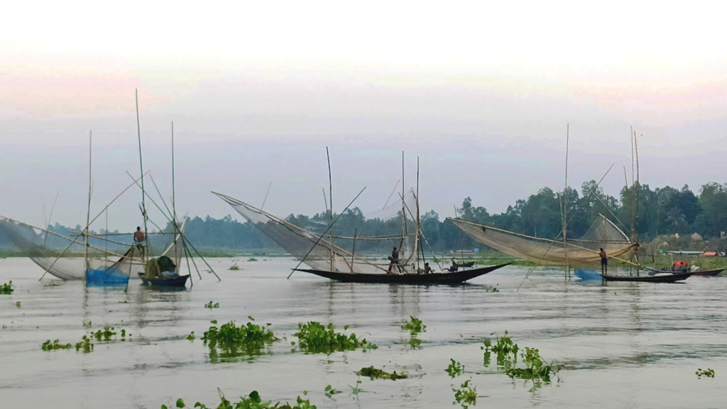 চলছে আশ্বিন মাস। নদী, খাল-বিল ও জলাশয়ে কমেছে পানি। এ সময়ও জালে ঝাঁকে ঝাঁকে ধরা পড়ছে মাছ। কালীগঙ্গা নদীতে ভেসাল জাল দিয়ে মাছ শিকার করছেন জেলেরা। সিংজুরী ইউনিয়ন, ঘিওর, মানিকগঞ্জ, ২৯ সেপ্টেম্বর। ছবি: আব্দুর রাজ্জাক
