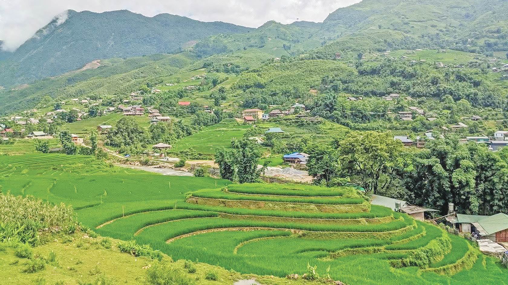 সাপা: এক পরাবাস্তব শহরের গল্প