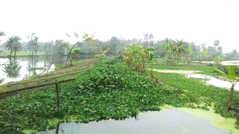 খালে-বিলে জলাবদ্ধতায় বোরো চাষে দেরির শঙ্কা